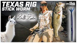 Texas Rig Stick Baits for Spring Bass with Seth Feider