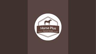 Horse Plus Humane Society is live!