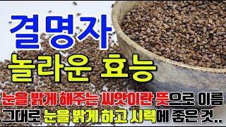 결명자의 놀라운 효능 7가지 & 부작용 / "눈 건강에 도움을 주는 경명자의 비밀"