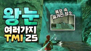 젤다 왕눈 신박한 디테일과 TMI 25 (젤다의 전설 티어스 오브 더 킹덤)