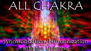 RAINBOW CHAKRA Frequency Synchronization and Harmonization with the Universe