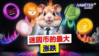 这些迷因币是如何造就百万富翁的……并让人心碎的️ Hamster Academy