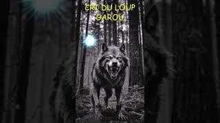 LOUP qui HURLE