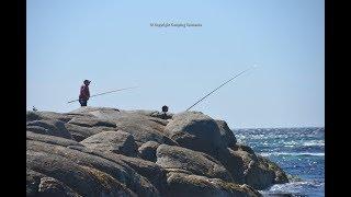 Camping Cosy Corner South Bay of Fires Tasmania