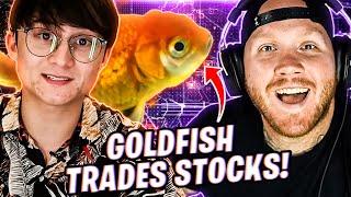 TIM REACTS TO A GOLDFISH TRADE $50K IN STOCKS