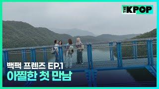 [EP.1] 흔들리는 다리 위, 긴장 속 만나게 된 또 다른 친구들 | 백팩 프렌즈