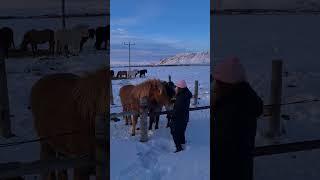 Iceland Diary | Iceland in December ️ #travel #icelandlove #winter
