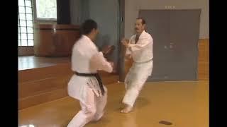 Non linear evasions and counter attacks in kumite with Sensei Seiji Nishimura