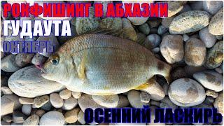 Рокфишинг в Абхазии. Гудаута. Осенний ласкирь