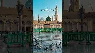 Rasool Allah ﷺ Ka Farman ️ Surah Waqia  #surahwaqia #shorts #islam #ajmalrazaqadri #viral #yts#yt