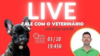 126 | FALE COM O VETERINÁRIO - Live gratuita para você perguntar tudo sobre seu cachorro ou gato!