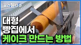 주말 방문객만 2,000명! 대형 빵 매장에서 케이크 만드는 방법｜제빵사들이 매일 쉼 없이 구워내는 빵 종류만 100여 가지｜일반 빵집에선 보기 힘든 특수가마｜극한직업｜#골라듄다큐