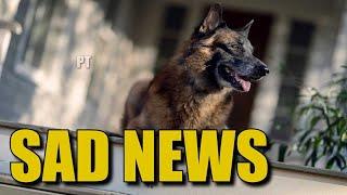 The Walking Dead Dog News - Sad News About TWD Dog