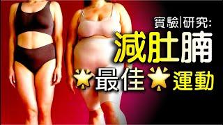 減肥運動 No.1 減肚腩運動 ! 居然不是HIIT !? 沒有減肚腩脂肪的優勢? | XX更有效瘦腰瘦肚 | MET 活動代謝當量 | 運動強度計算 | ReHealthier 健康減肥