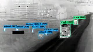 Animal detection and vehicles profiling on thermal cameras