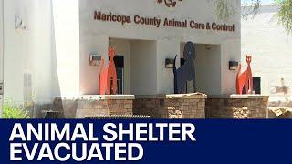 Bomb threat prompted animal shelter evacuation