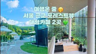 여행온 줄! 서울 근교 숲뷰 대형카페 2곳  서울근교카페 가볼만한 곳 ㅣ서울근교데이트 ㅣ아나키아ㅣ 카페숨 ㅣ의정부카페ㅣ남한산성카페 남한산성카페숨