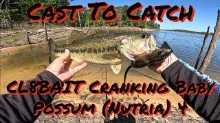 Cast to catch!! Cl8BAIT cranking baby possum (nutria) 4!!!