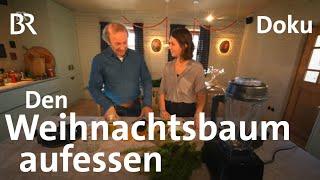 Teller statt Tonne - Kochen mit dem Weihnachtsbaum | Nach Weihnachten | freizeit | Doku | BR