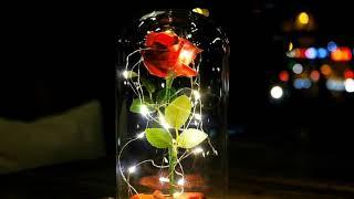 Rose in Glass Dome Wooden Base with LED Beauty and the Beast Inspired