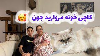 ولاگ مهمانی خونه مروارید جون با نمایش تابلوهای زیبا و پخت کاچی خوشمزه 