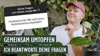 DIESE Antworten zum Green Jungle Mix MUSST du kennen 