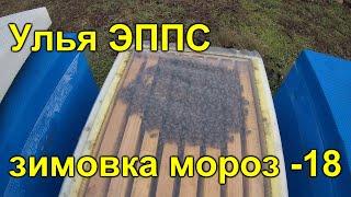 Улей ЭППС дно сетка зимовка -18