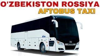 AFTOBUS TAKSI XIZMATI 2023.moskvaga aftobus