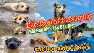 Khoác Huấn Luyện Bơi Lội Đặc Biệt Cho Bầy Cún Nhỏ Chuẩn Bị Vào Đời - Bài Học Sinh Tồn Cho Các Con