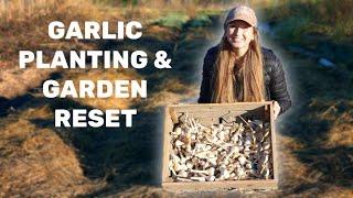 Planting Garlic & Winter Garden Prep