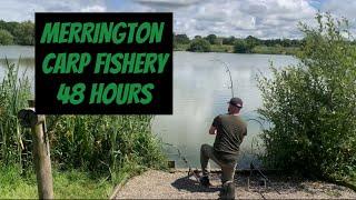 MERRINGTON CARP FISHERY || MAIN LAKE || SUMMER CARP FISHING || SHROPSHIRE