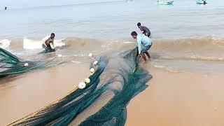  Woow!! Amazing !! Million 5k of fish catching unbelievable fishing video @fishnegombo $