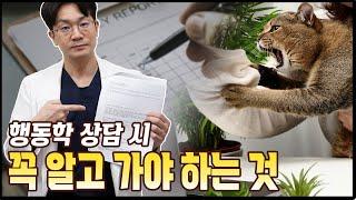 고양이 행동학 상담시 제가 필요한 정보들.