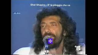 Shel Shapiro - E' la pioggia che va