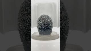 Tellurium crystals cluster argon sealed in a glass dome for element collection