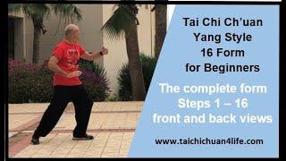 Yang style 16 Form Tai Chi Ch’uan - The complete form with front and back views.