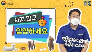 [사지 말고 입양하세요!] 강동구 리본센터 방문기! 귀여운 댕댕이들.. + 미니인터뷰!