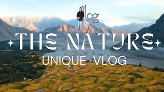 The Nature.ILog. Coming soon. Vlog, TraveLog, tourism,climate change issues and much more.