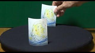 Lecture Series "World of 3D optical Illusion, 22. Viewpoint Trick