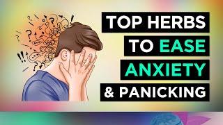 8 Herbs for ANXIETY Relief (and Panic Attacks)