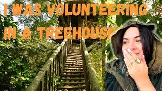 Volunteering In A Treehouse!  | STORYTRENDER