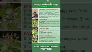 Большой здоровый урожай яблок и груш гарантирован! Сохраняйте в закладки!