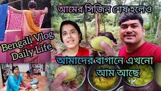 আমের সিজিন শেষ হলেও আমাদের বাগানে এখনো আম আছে  | Bengali Vlog Daily Life