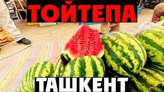  Ташкент | ТОЙТЕПА и НУРАФШАН | Давленное КУКСИ в Настоящем КОРЕЙСКОМ КАФЕ! 