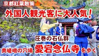 11/21(木)秋の京都紅葉散策今、外国人観光客に大人気！圧巻の石仏群の愛宕念仏寺を歩く 【4K】Otagi Nenbutsu Temple