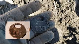 Terra Firma Detecting with XP Len Quelland "Gold & Silver!" ORX is Killing it!
