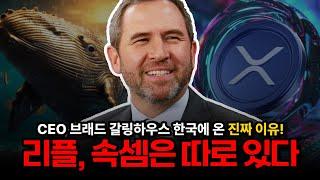 단독) 리플 CEO 한국 방문! KBW2024 말고 다른 속내가 있다!!