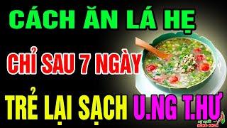 Bác Sỹ Mách Bạn Cứ Đem Hẹ Nấu Với Thứ Này Cực Tốt Cho Sức Khỏe, Ai Cũng Nên Biết Để Khỏe Mỗi Ngày