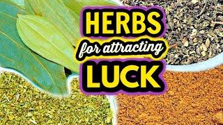  HERBS FOR LUCK  To Increase LUCK in Manifestations, Love, Money, Spells, Rituals & More 