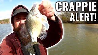 Cold Water Bluegill and Crappie Fishing from The Bank!